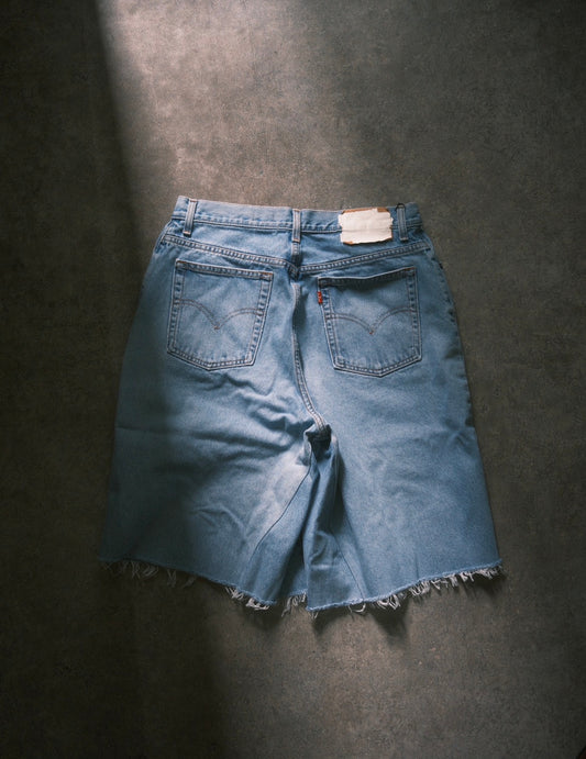 OLDPARK:BAGGY SHORTS (BLUE、Lサイズ-1)