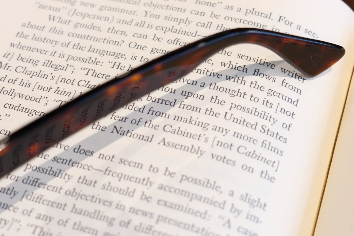 corner : Pre W.F / Tortoise