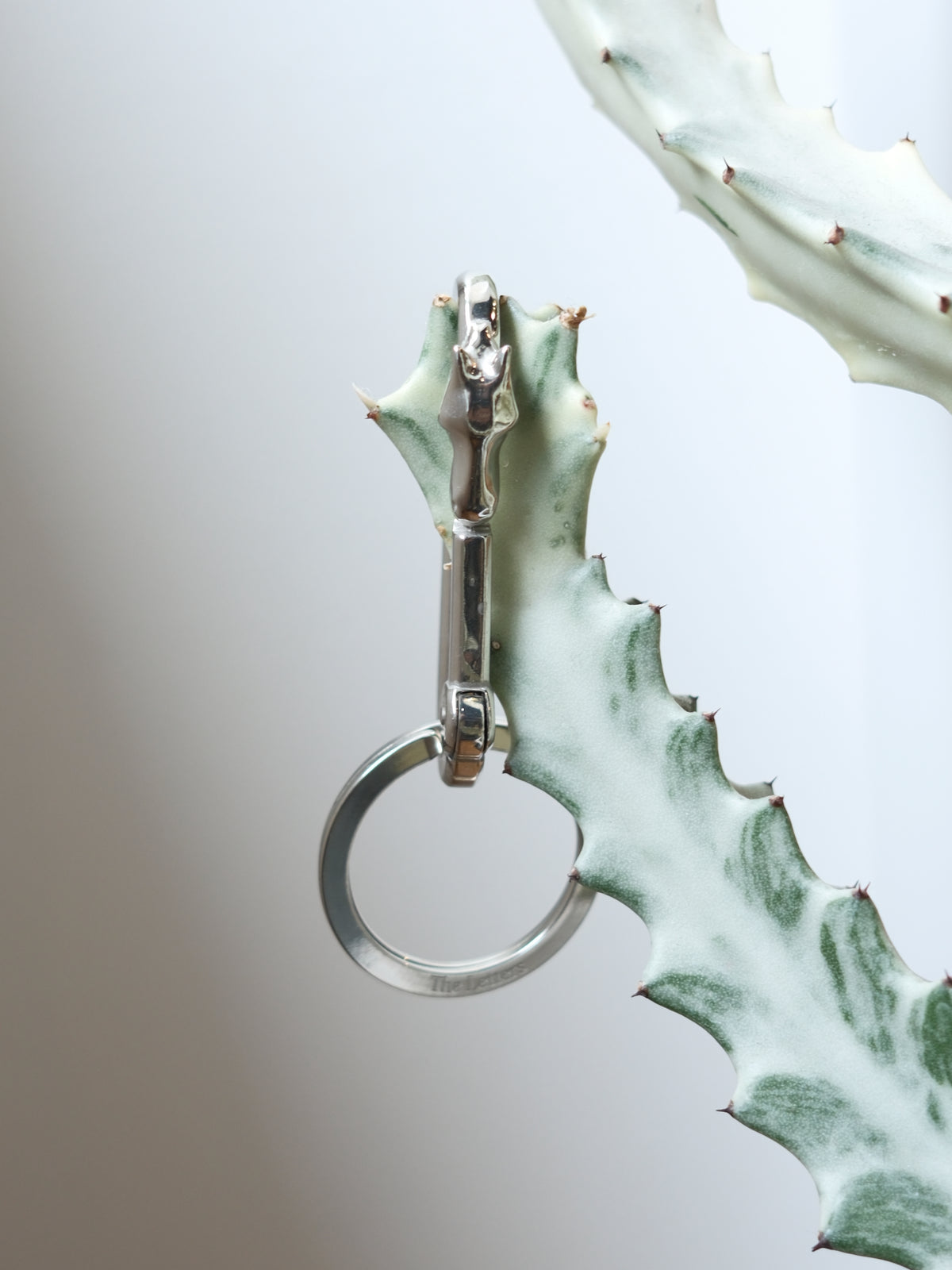 The Letters : HORSE FACE CARABINER