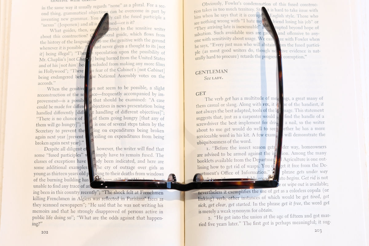 corner : Pre W.F / Tortoise