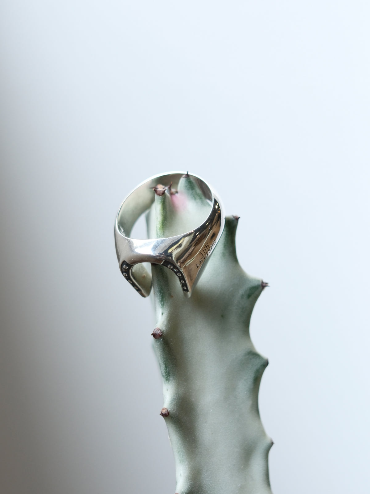 The Letters : HORSESHOE SIGNET RING
