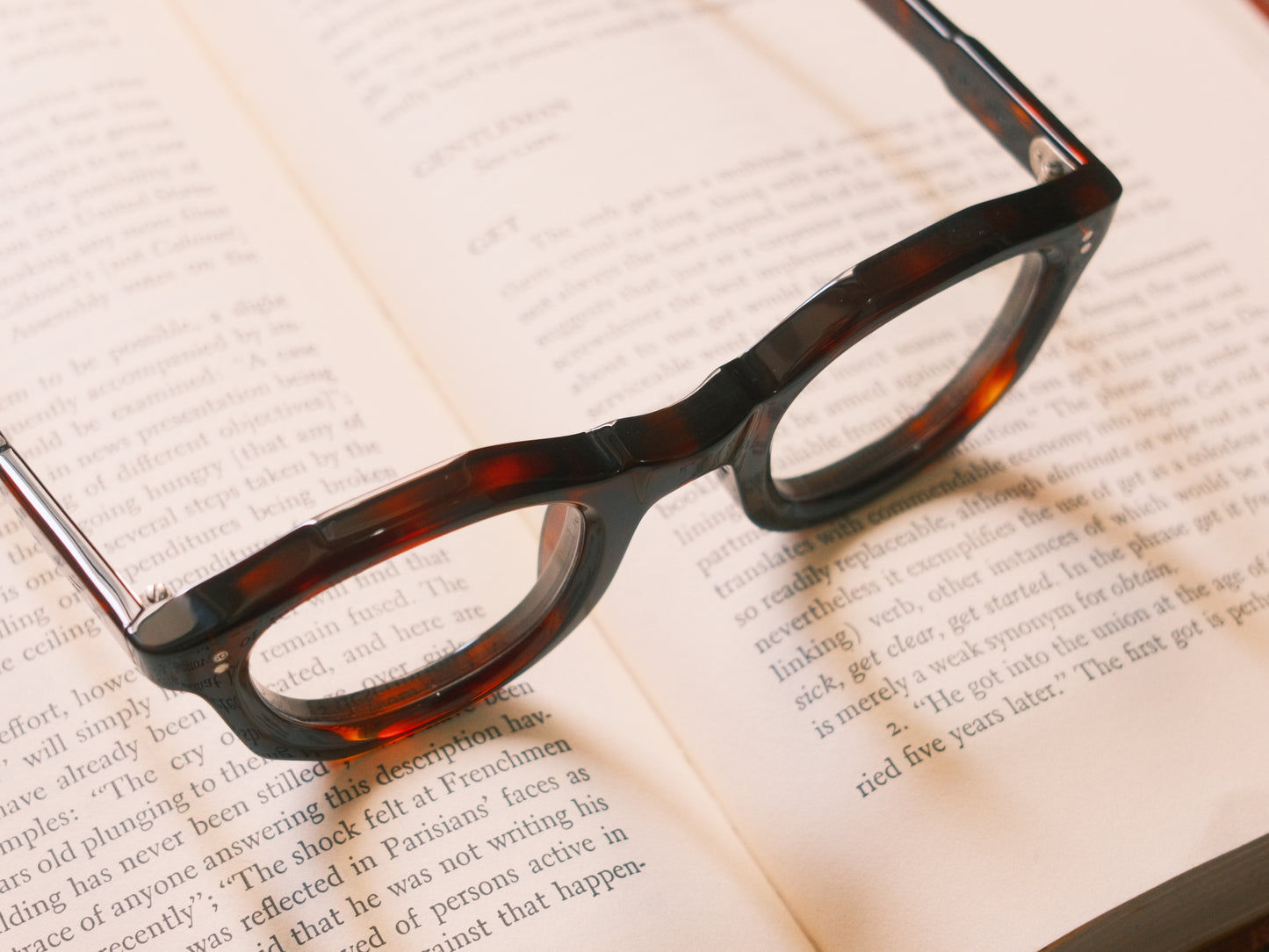 corner : French Arnel / Tortoise