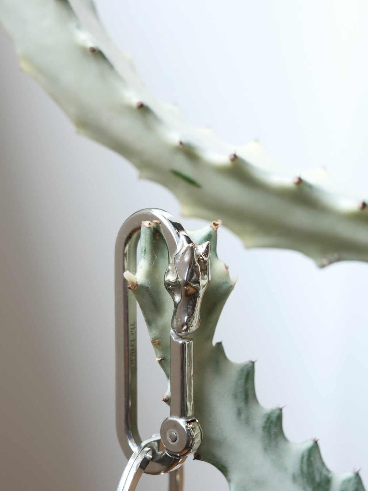 The Letters : HORSE FACE CARABINER