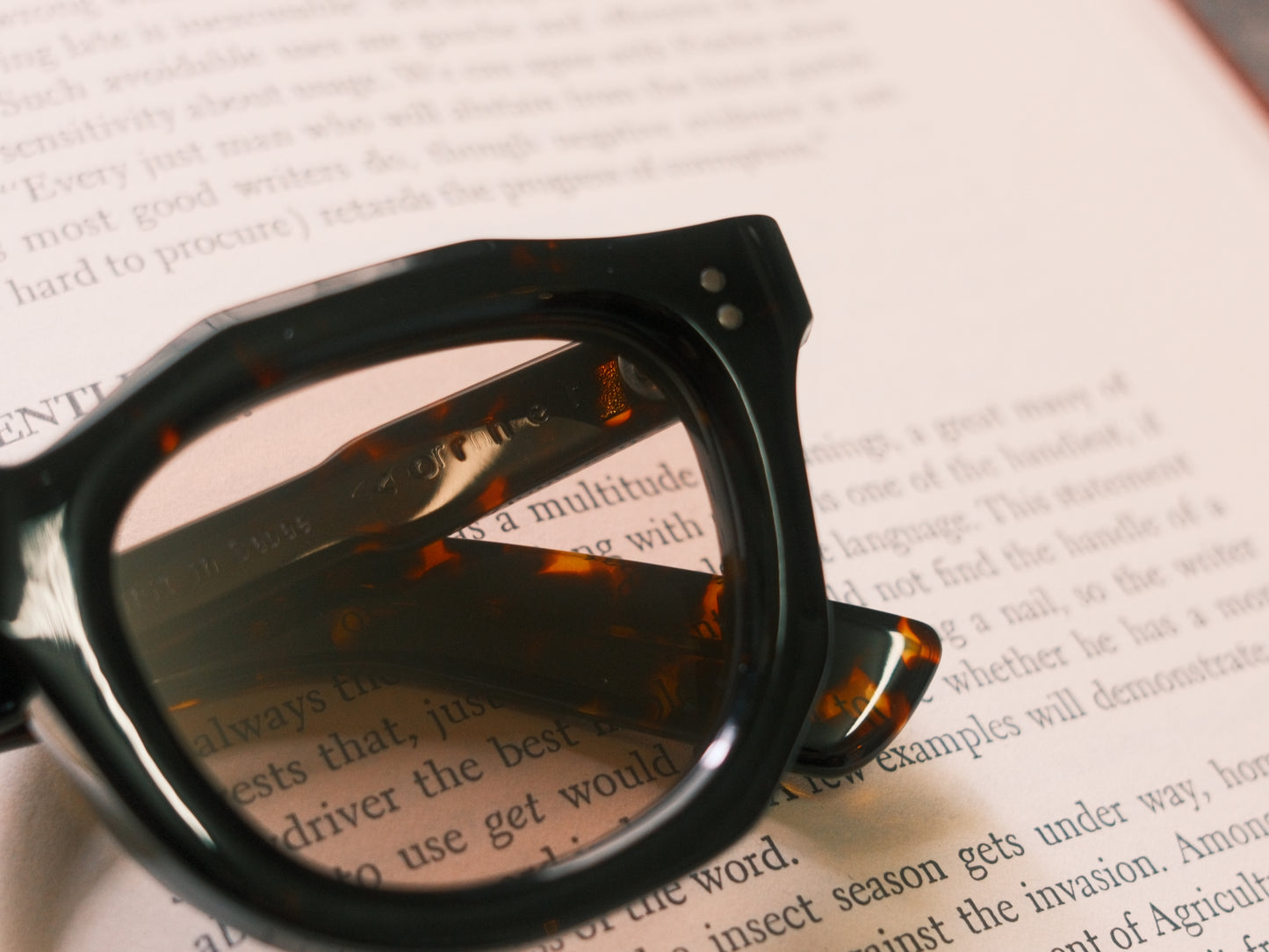corner : French Arnel / Dark Demi