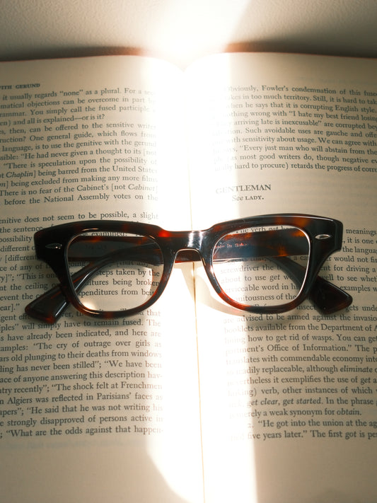 corner : Pre W.F / Tortoise