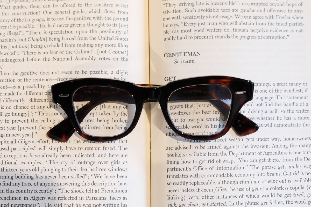 corner : Pre W.F / Tortoise