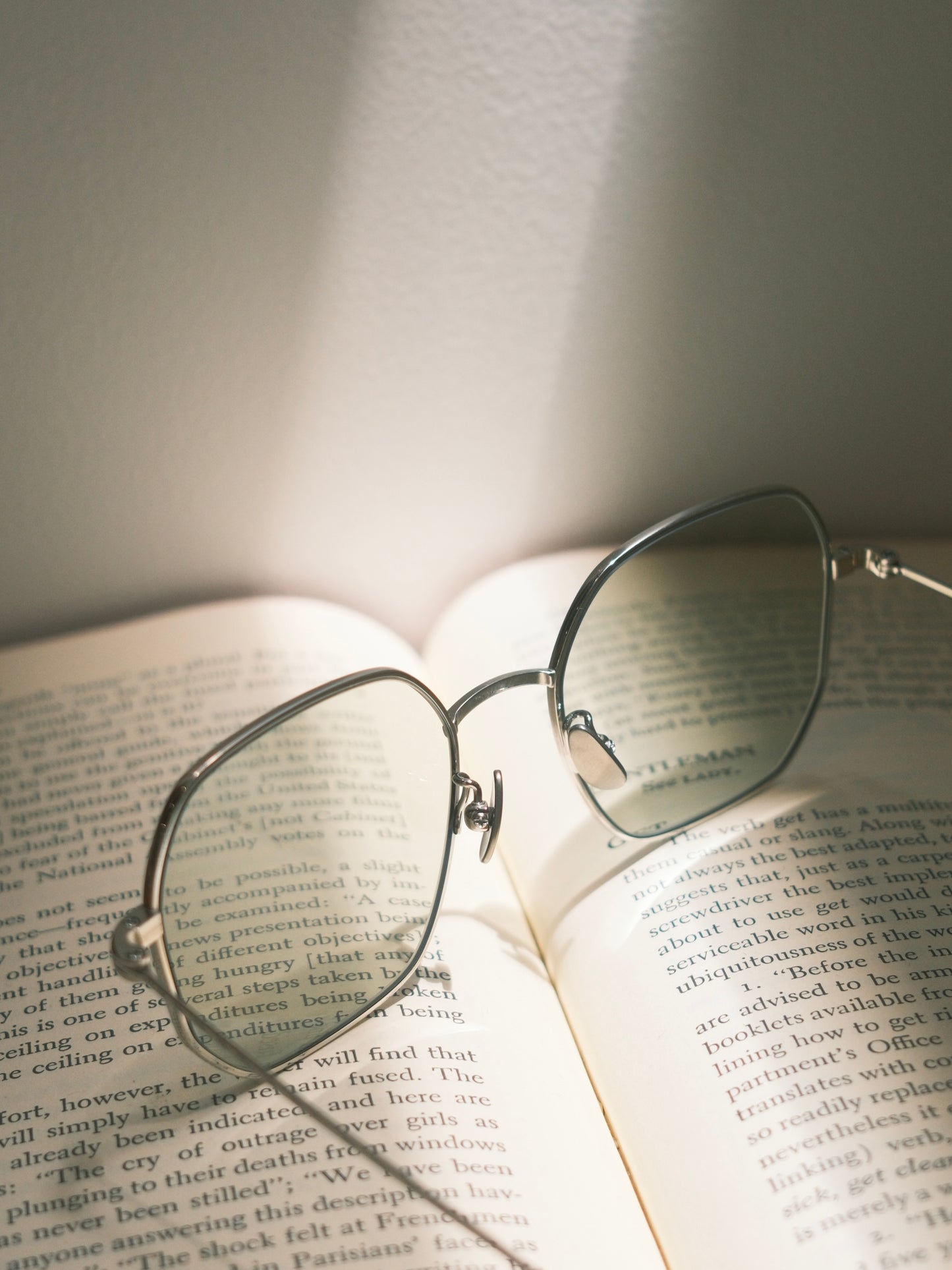 corner : Brautigan / Silver