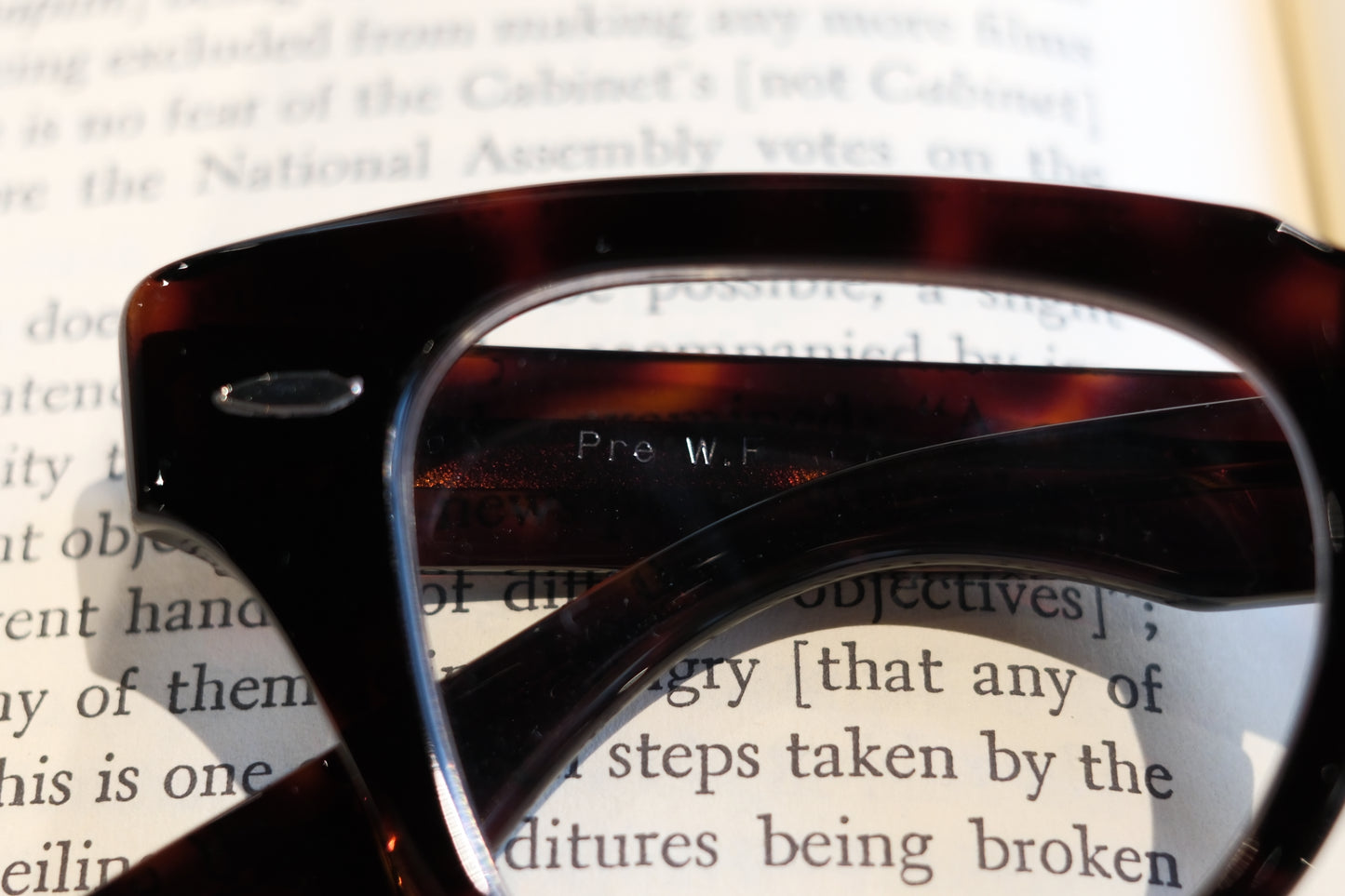 corner : Pre W.F / Tortoise