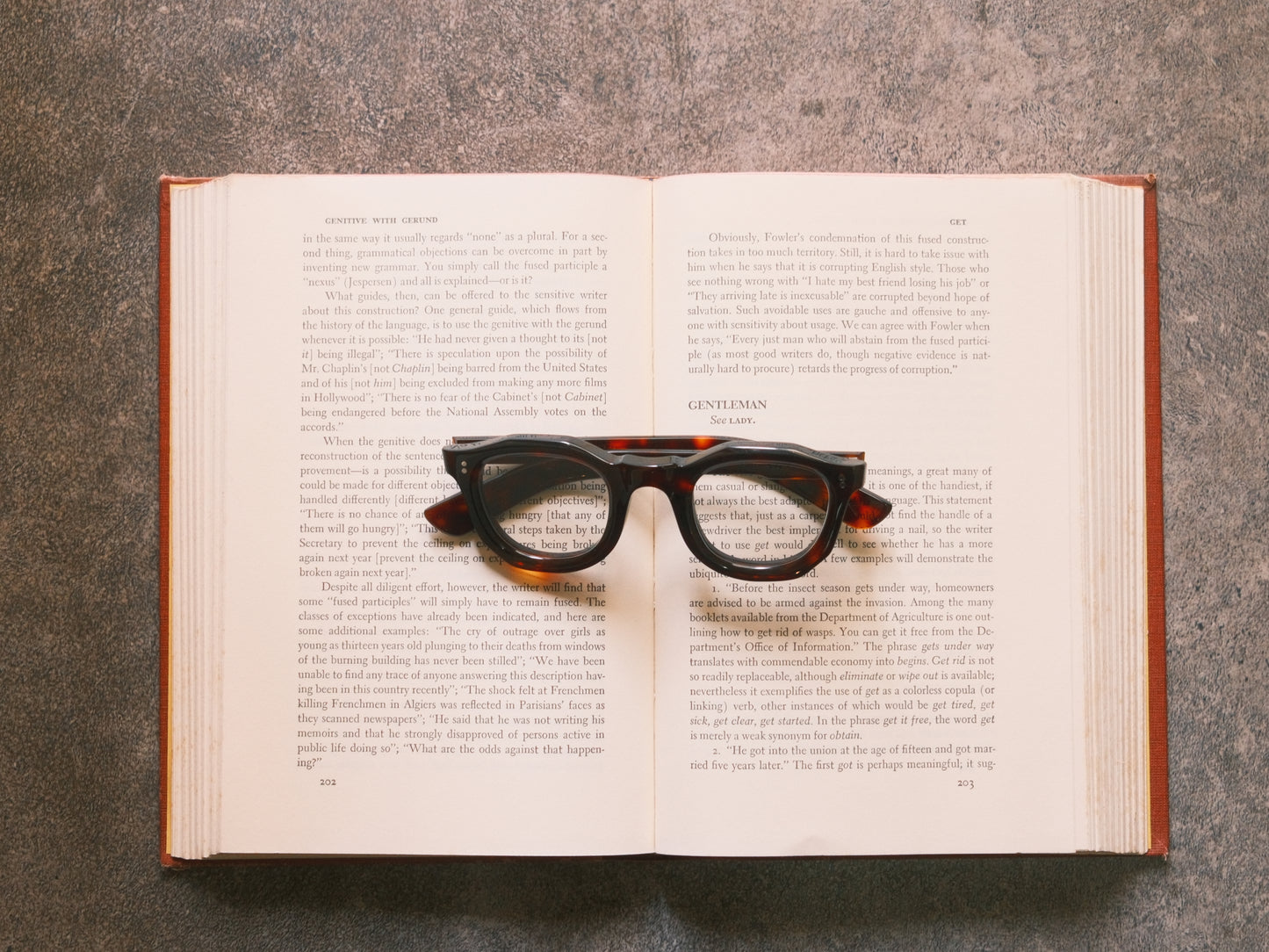 corner : French Arnel / Tortoise
