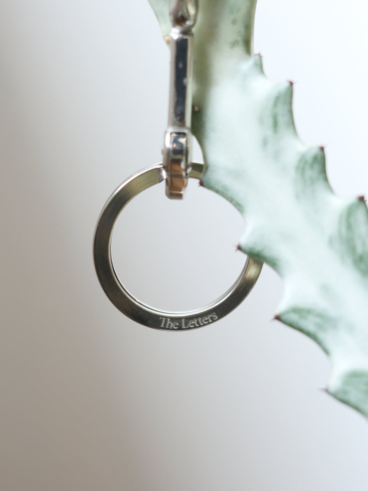 The Letters : HORSE FACE CARABINER