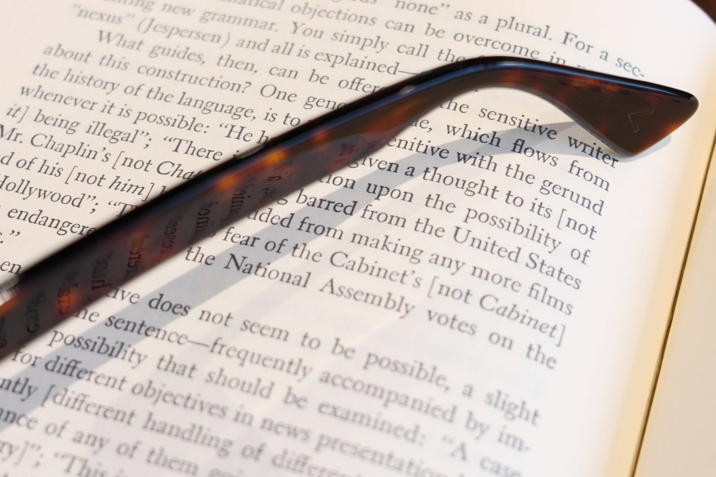 corner : Pre W.F / Tortoise