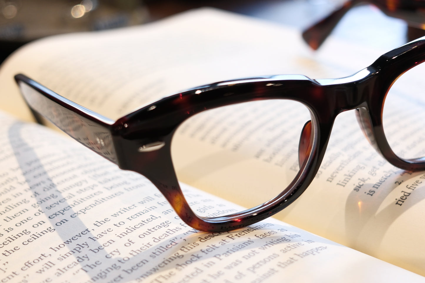 corner : Pre W.F / Tortoise