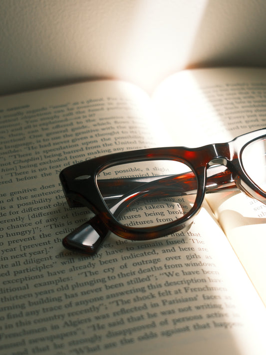 corner : Pre W.F / Tortoise