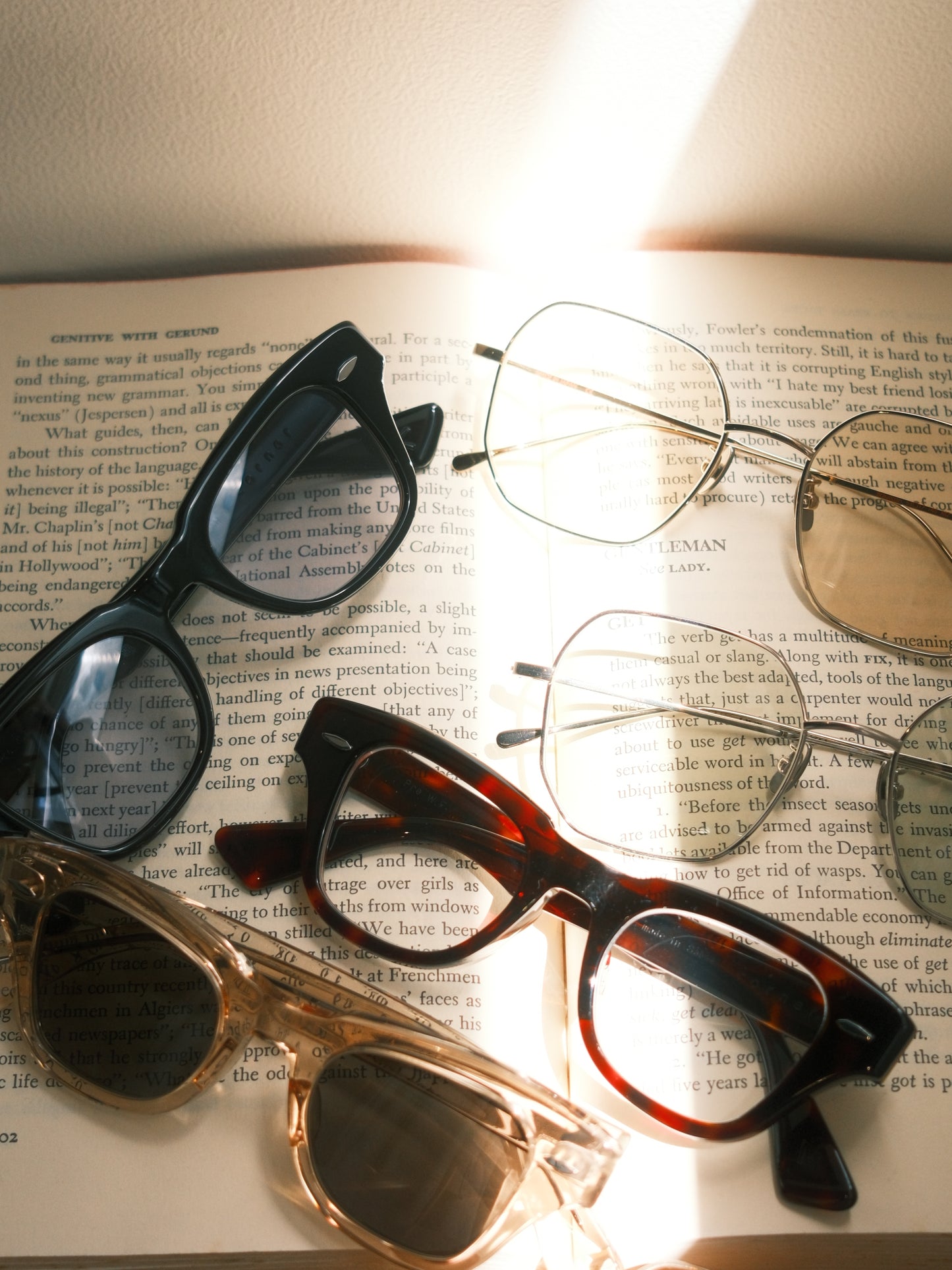 corner : Pre W.F / Tortoise