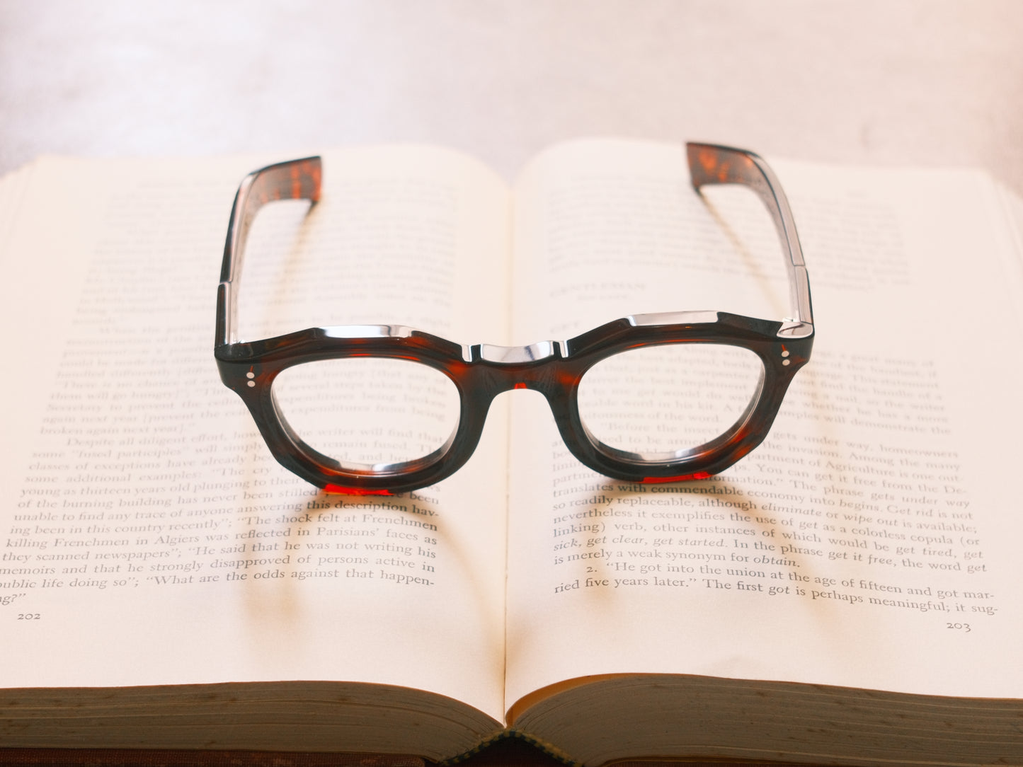 corner : French Arnel / Tortoise