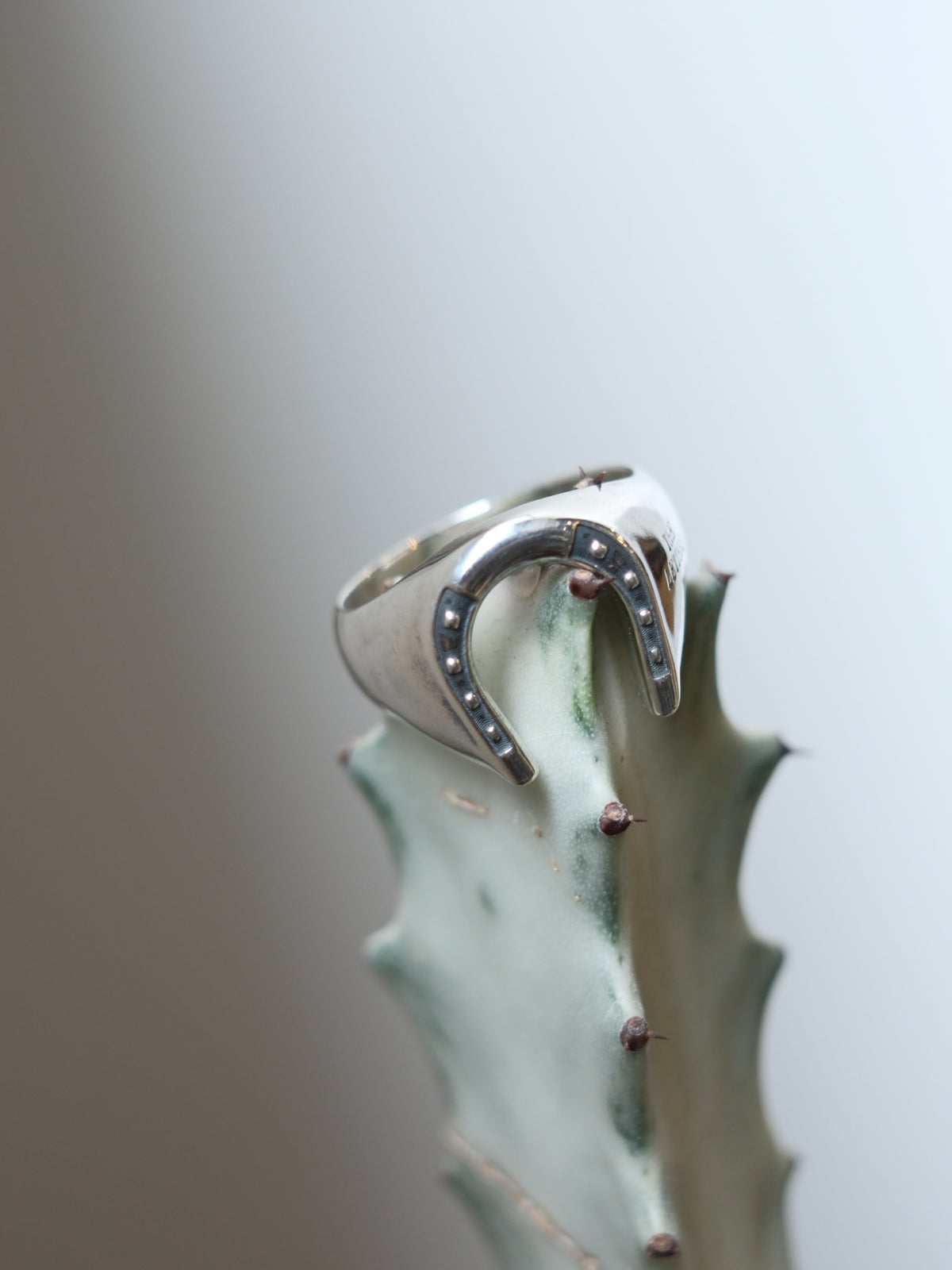 The Letters : HORSESHOE SIGNET RING
