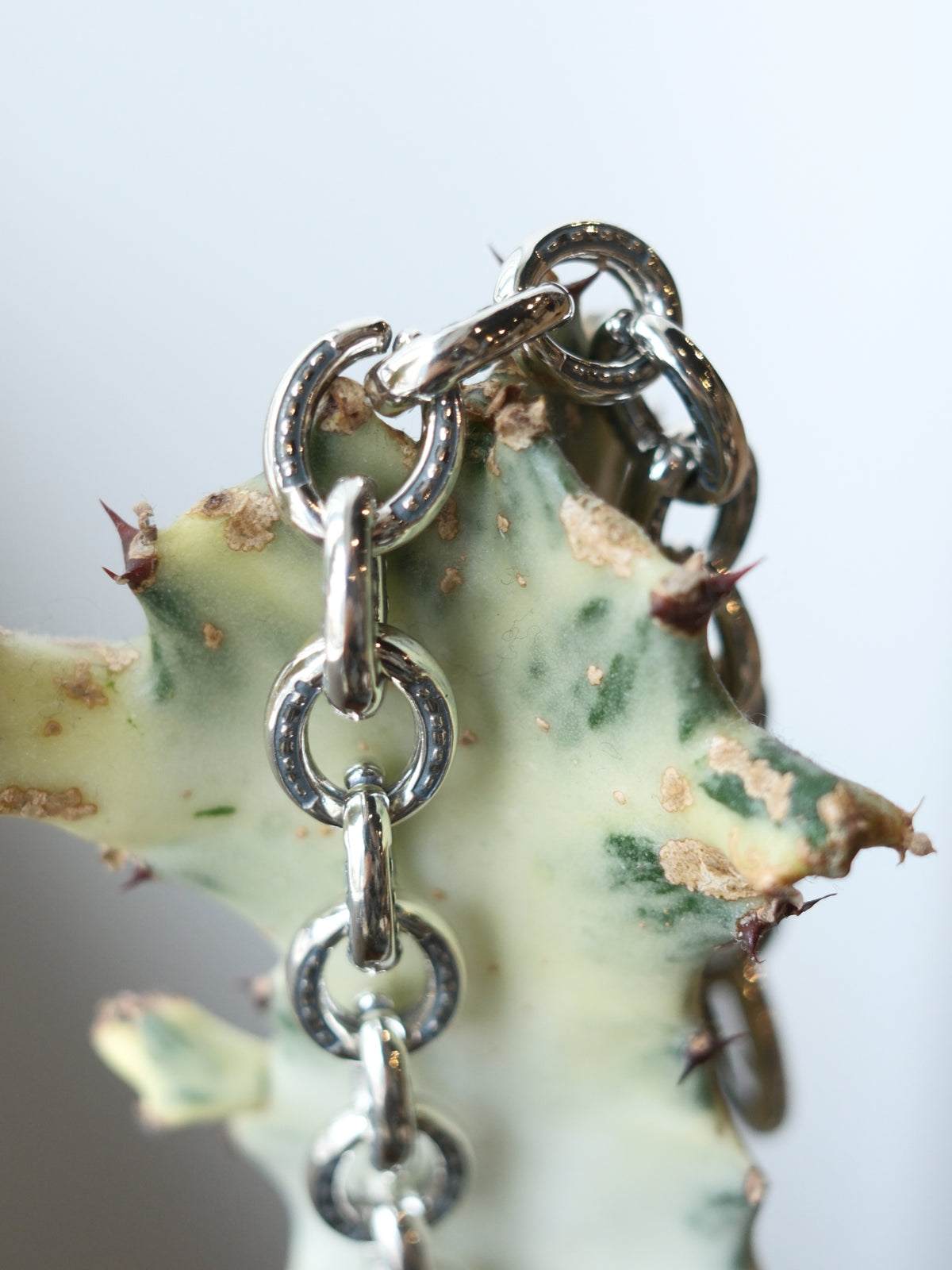 The Letters : HORSESHOE BRACELET -SMALL-