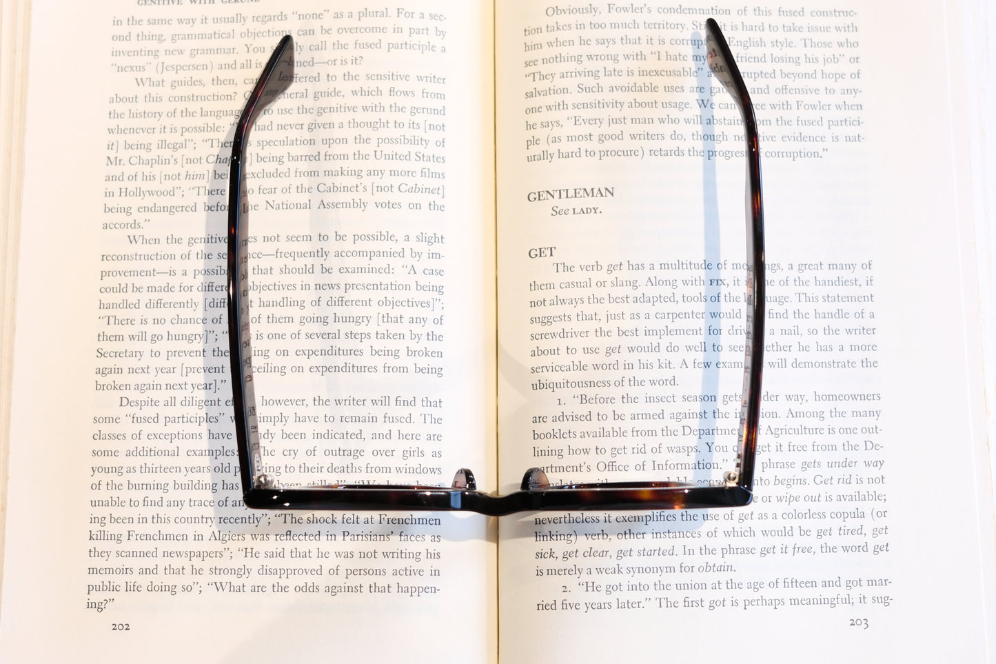 corner : Pre W.F / Tortoise