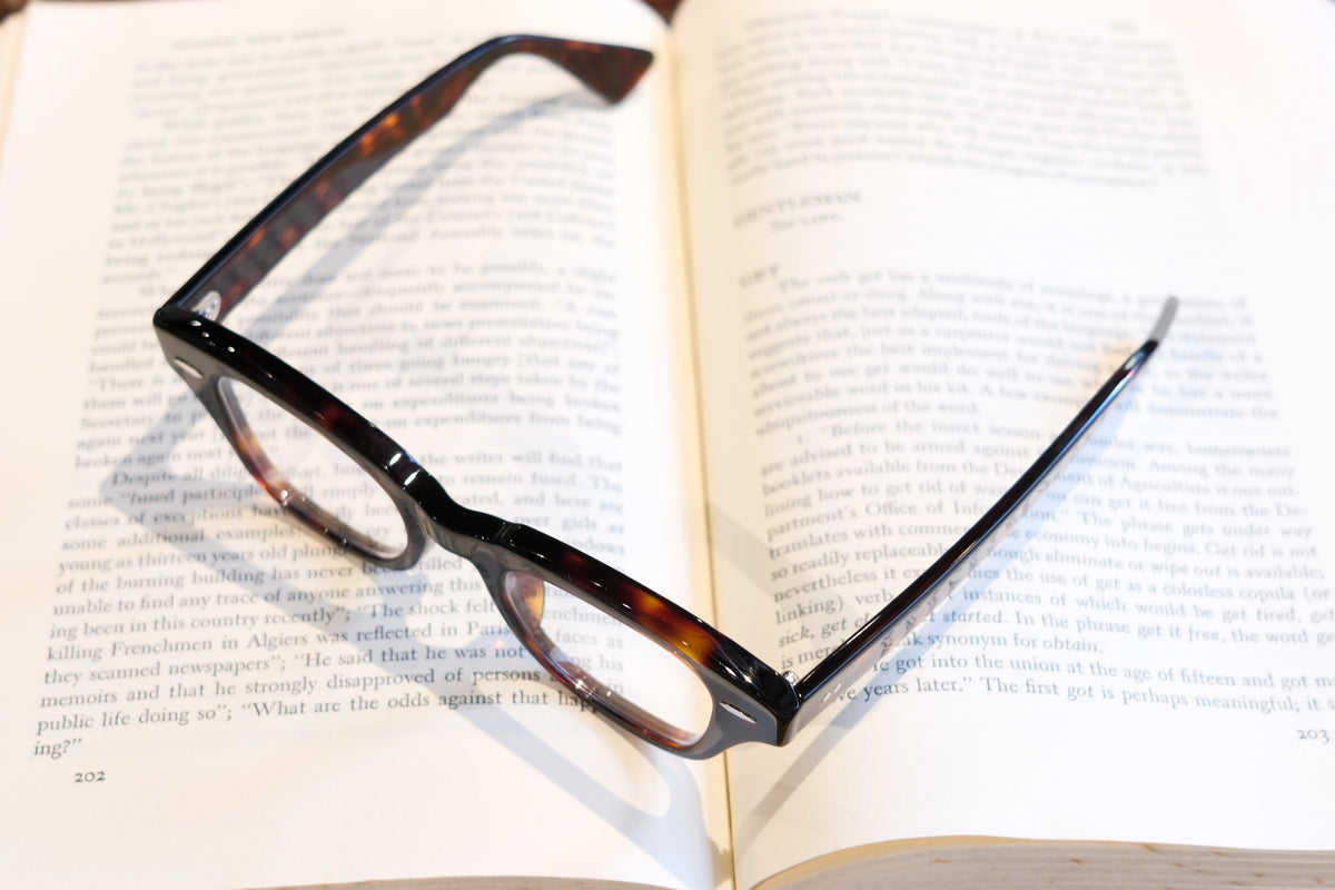 corner : Pre W.F / Tortoise